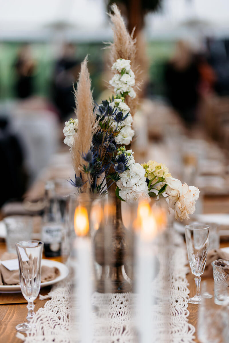 Laura & Aaron- Camp David Farm, Spring Hill - Image 10