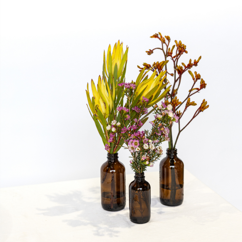 Wild Native Bud Vase Trio